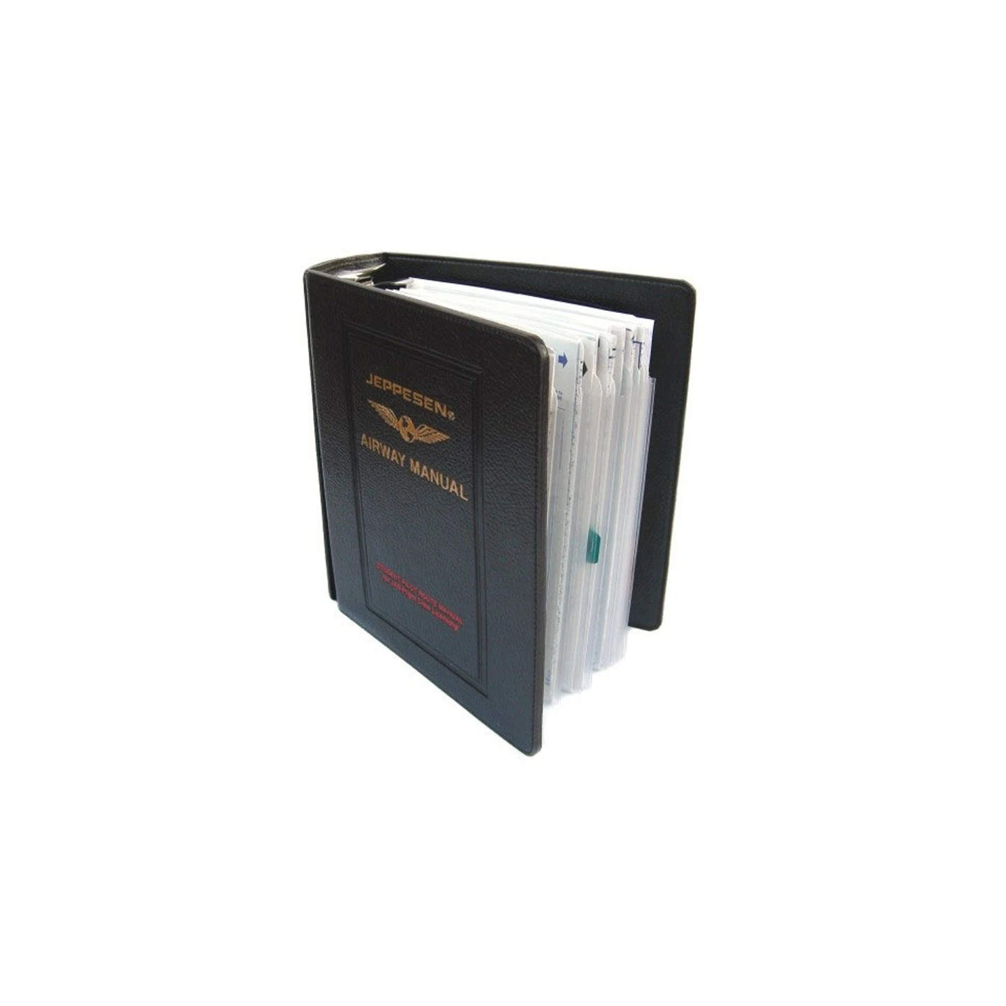 Jeppesen General Student Pilot Route Manual (GSPRM