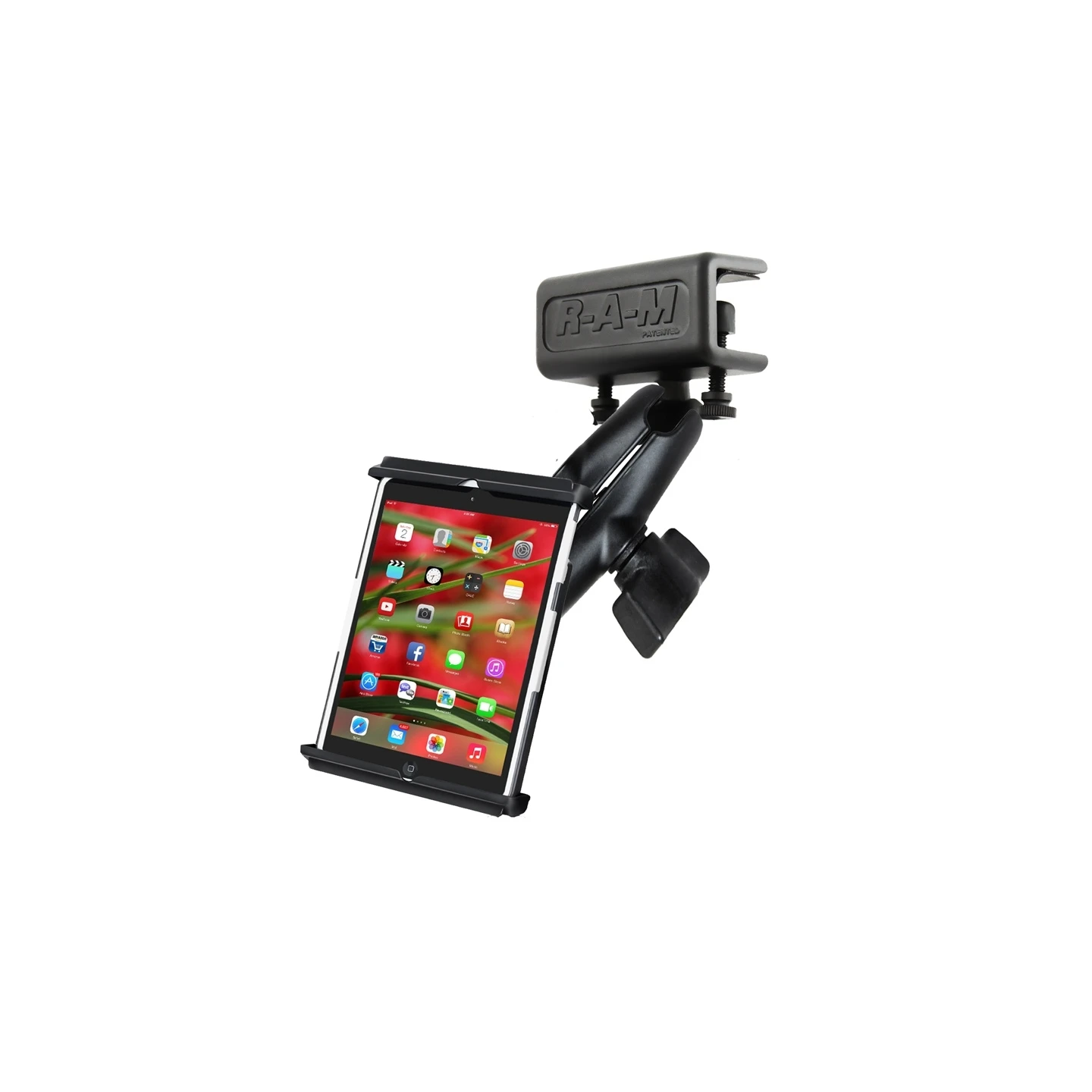 RAM MOUNTS Panel Mount for Apple iPad mini 1-4 - i