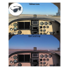 Flying Eyes Sunglasses Cooper Narrow (Kestrel) - Golden Front Frame, Dark Solid Gray Lenses