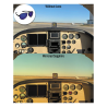 Flying Eyes Sunglasses Ninox - Clear Frame, Mirrored Sapphire Lenses