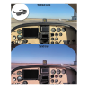 Flying Eyes Sunglasses Ninox - Clear Frame, Solid Gray Lenses