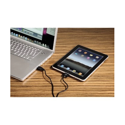 Hama USB Lade-/Sync-Kabel für Apple iPad (30-Pin) - schwarz, 1 m