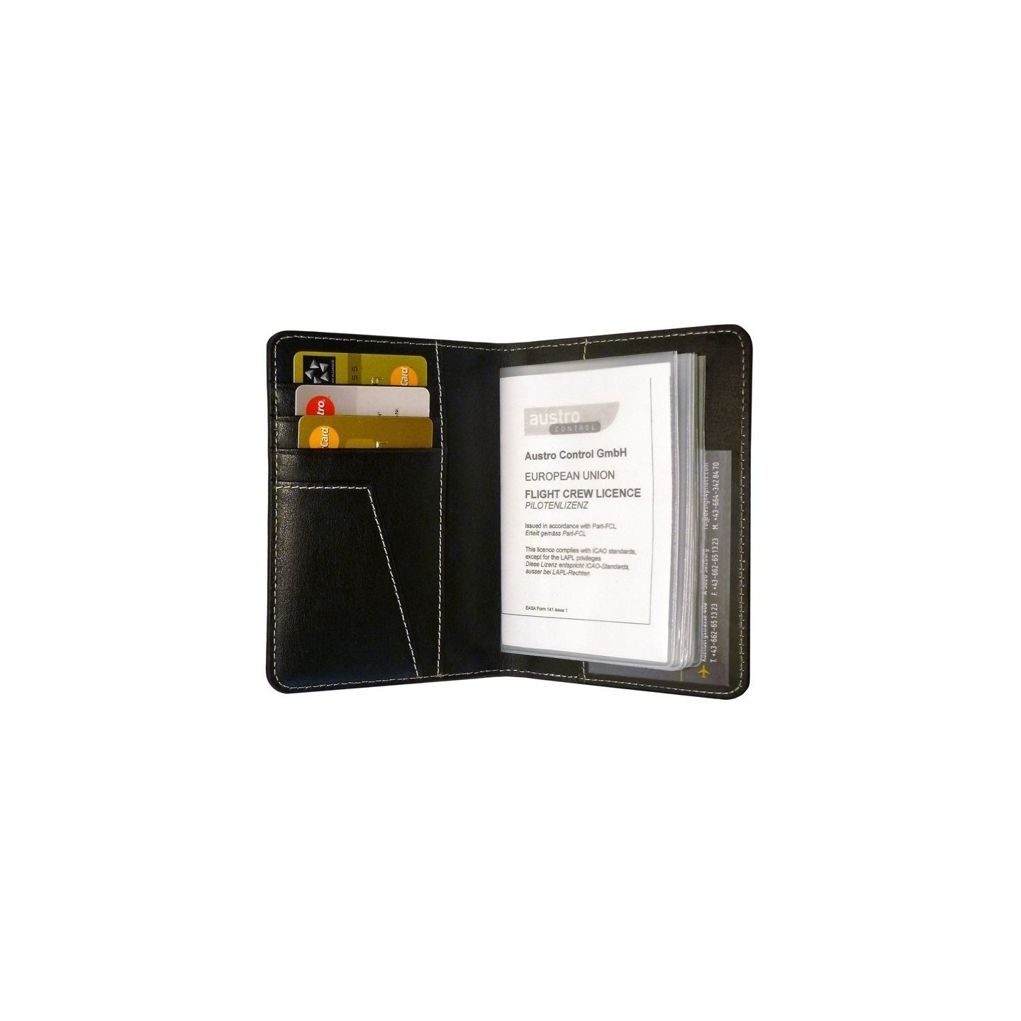 EASA Pilot Licence Cases - Cases of Protection for Pilot Licences