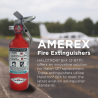 HALOTRON® BrX (2-BTP) Fire Extinguisher Model 337TS