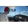 AviationShade + Case - curved windshield
