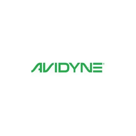 Avidyne